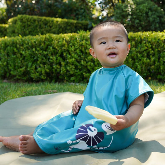 Short Sleeve Messy Mealtime (Toddler) Smock Bib: 8mths to 4yrs - various colours